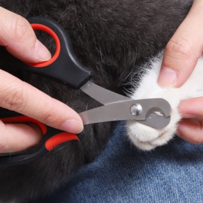 Tesoura de Cortar Unha para Pets Cães e Gatos - F7X Shop